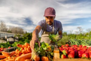 Farm Worker Jobs in the U.K.: Complete Guide to Securing Sponsored Positions – Apply Now