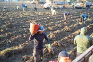 USA Jobs with Visa Sponsorship for Foreigners 2025